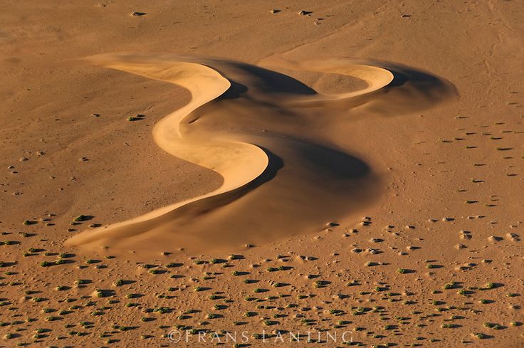 Marrakech street food walking tour