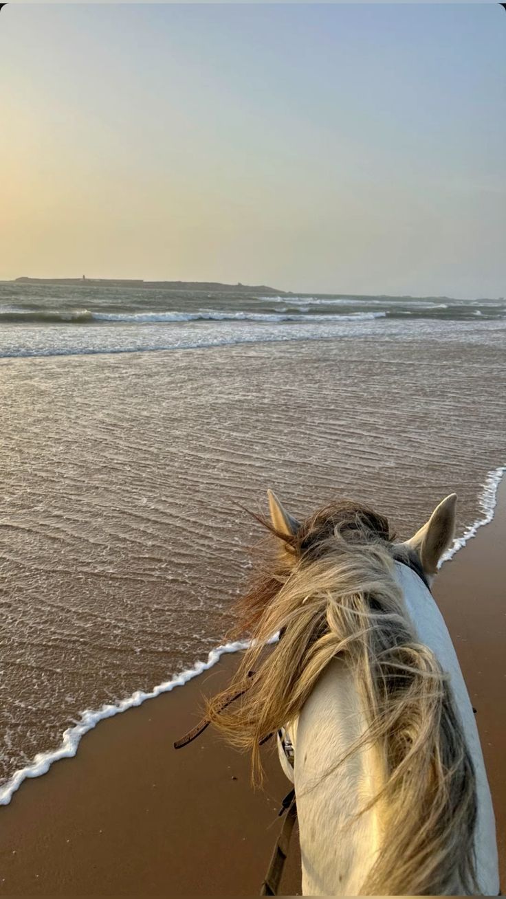 Essaouira Morocco