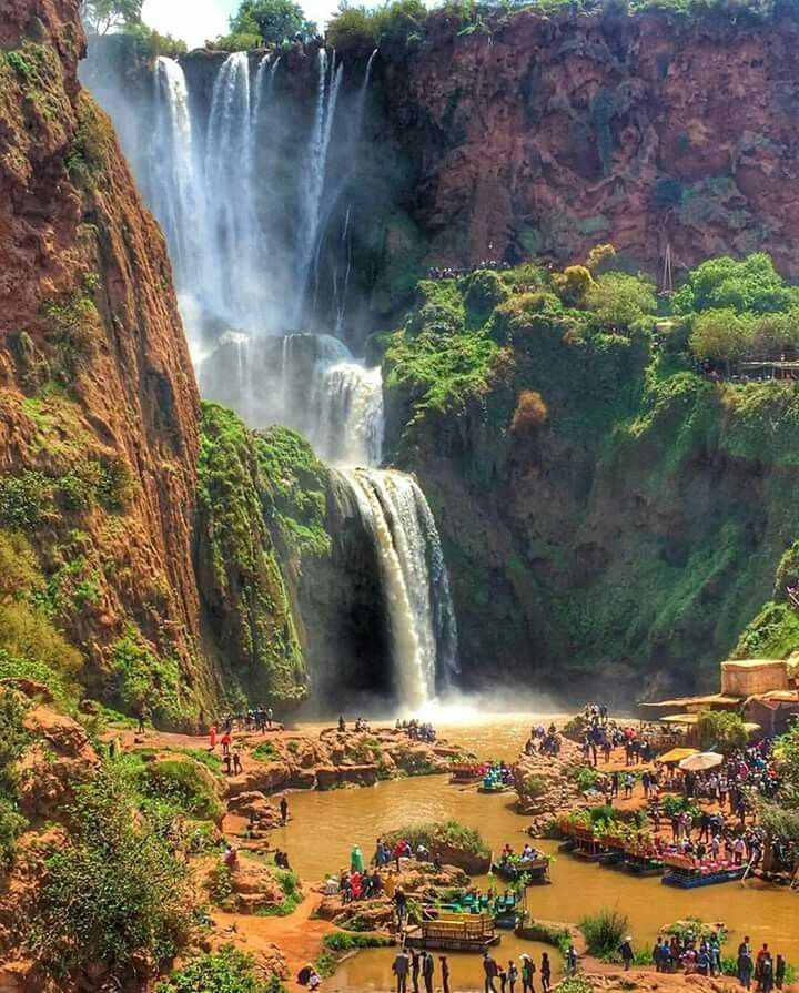 Marrakech market food tour