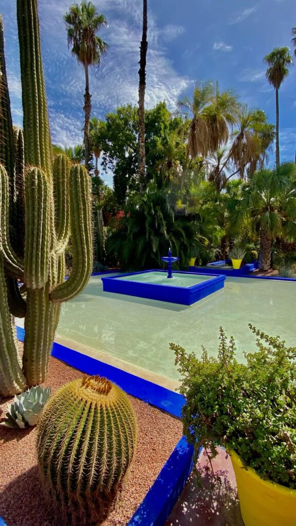 Marrakech market food tour