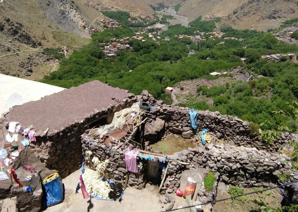 street food experience Marrakech