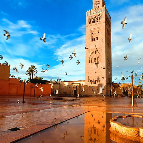 hands-on cooking Marrakech