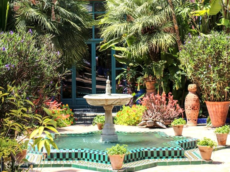 Moroccan street cuisine tasting