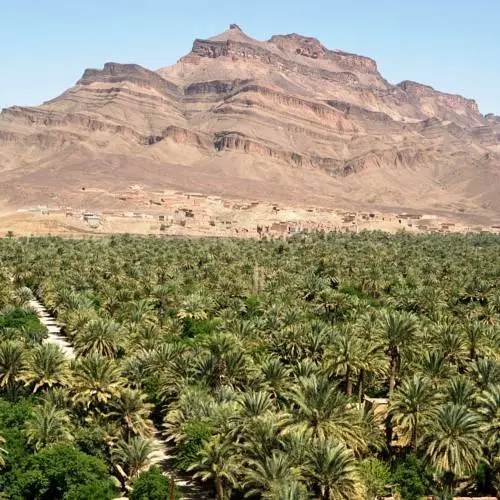 street food day tour Marrakech