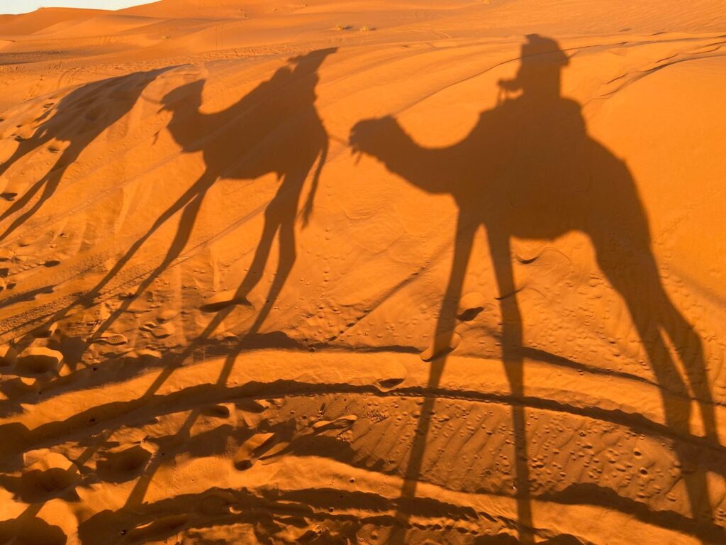 Merzouga Desert group cooking class