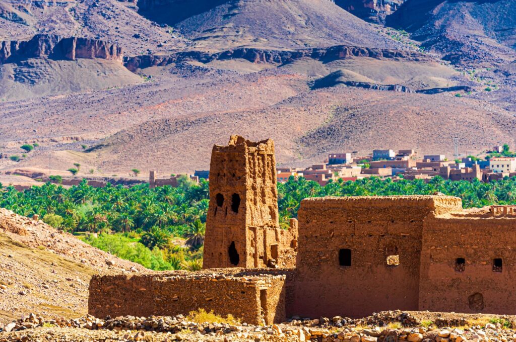 Moroccan street cuisine tasting