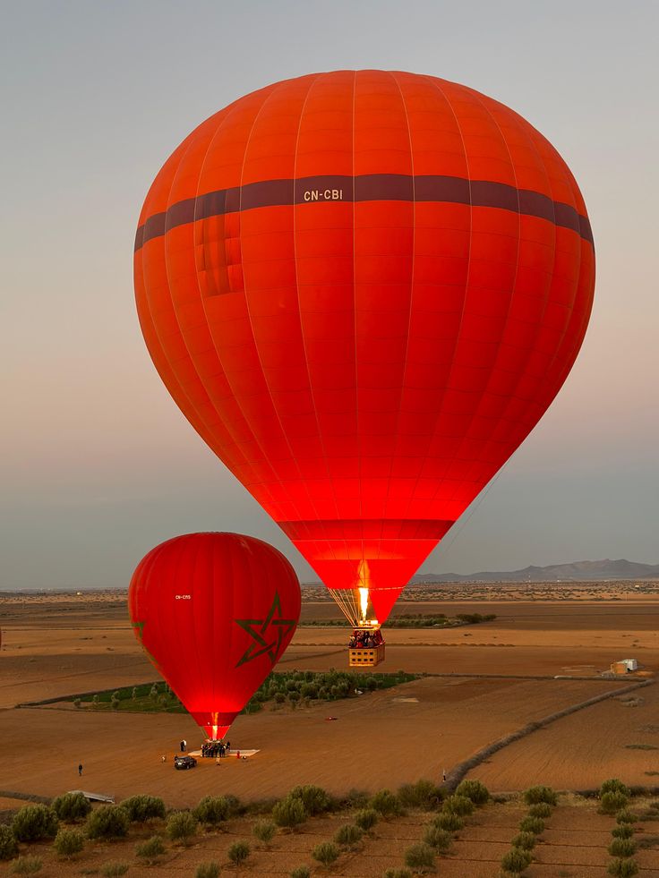 street food immersion Marrakech