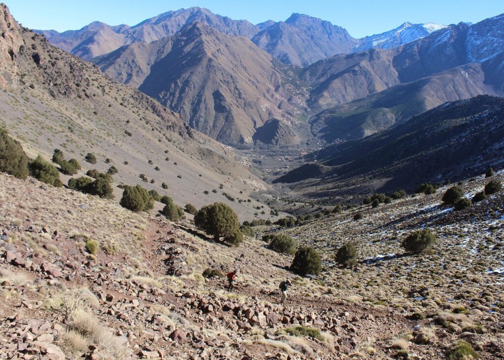 Marrakech market food tour